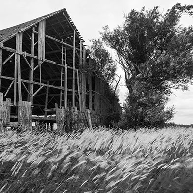 Barn